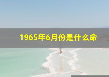 1965年6月份是什么命