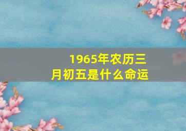 1965年农历三月初五是什么命运