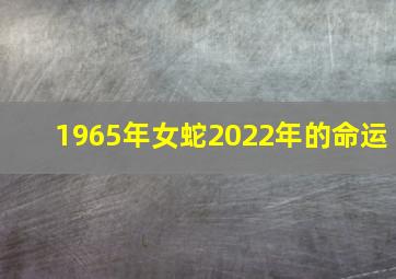 1965年女蛇2022年的命运