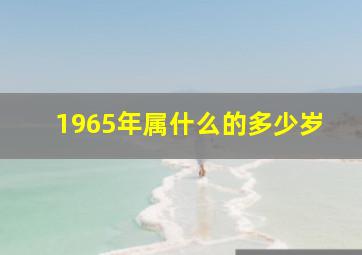 1965年属什么的多少岁