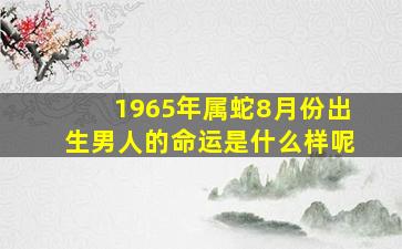 1965年属蛇8月份出生男人的命运是什么样呢