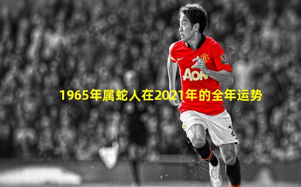 1965年属蛇人在2021年的全年运势