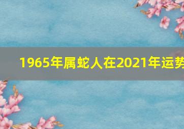 1965年属蛇人在2021年运势