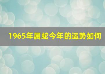 1965年属蛇今年的运势如何