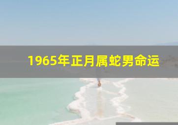 1965年正月属蛇男命运