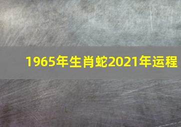 1965年生肖蛇2021年运程