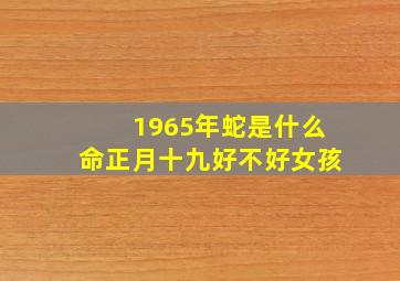 1965年蛇是什么命正月十九好不好女孩