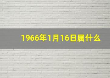 1966年1月16日属什么