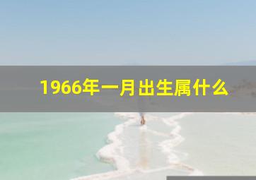 1966年一月出生属什么