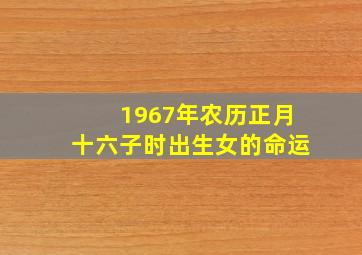 1967年农历正月十六子时出生女的命运