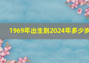 1969年出生到2024年多少岁