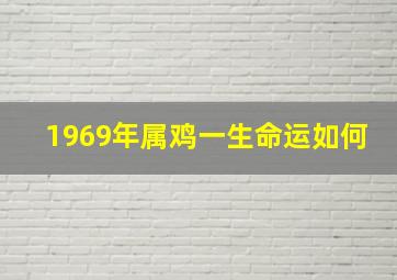 1969年属鸡一生命运如何