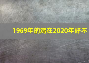 1969年的鸡在2020年好不