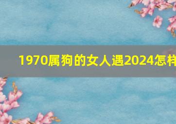 1970属狗的女人遇2024怎样