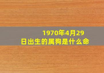 1970年4月29日出生的属狗是什么命