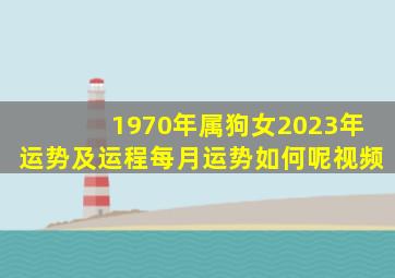 1970年属狗女2023年运势及运程每月运势如何呢视频