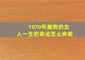 1970年属狗的女人一生的命运怎么样呢