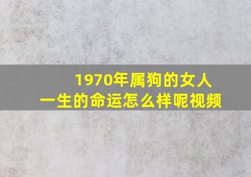 1970年属狗的女人一生的命运怎么样呢视频