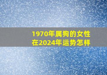 1970年属狗的女性在2024年运势怎样