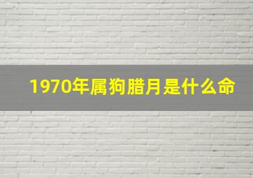 1970年属狗腊月是什么命