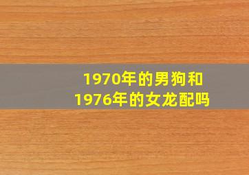 1970年的男狗和1976年的女龙配吗