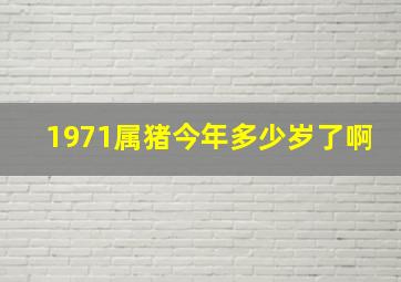 1971属猪今年多少岁了啊