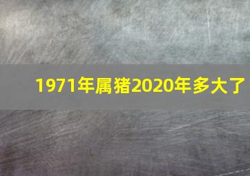 1971年属猪2020年多大了