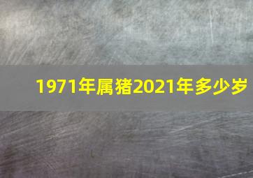 1971年属猪2021年多少岁