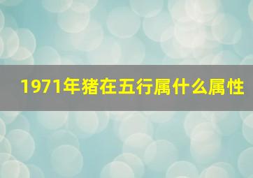 1971年猪在五行属什么属性