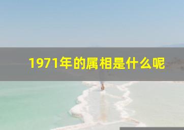 1971年的属相是什么呢