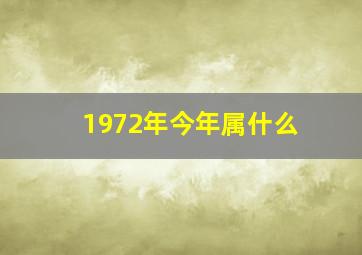 1972年今年属什么