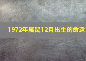 1972年属鼠12月出生的命运