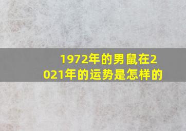 1972年的男鼠在2021年的运势是怎样的