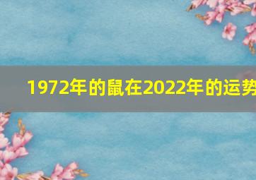 1972年的鼠在2022年的运势