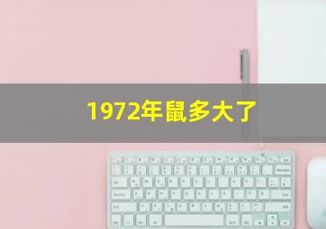 1972年鼠多大了