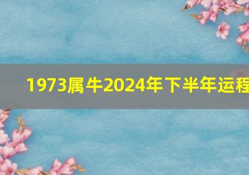 1973属牛2024年下半年运程