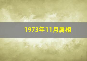 1973年11月属相