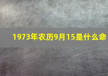 1973年农历9月15是什么命