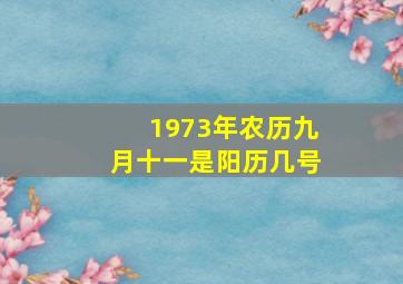 1973年农历九月十一是阳历几号