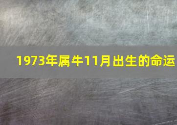 1973年属牛11月出生的命运