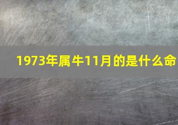 1973年属牛11月的是什么命