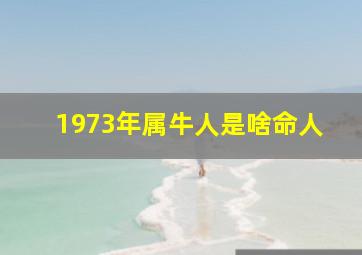 1973年属牛人是啥命人