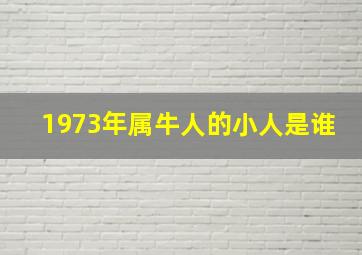 1973年属牛人的小人是谁