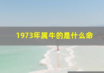 1973年属牛的是什么命