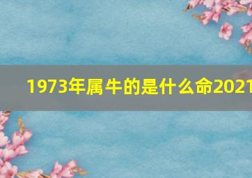 1973年属牛的是什么命2021