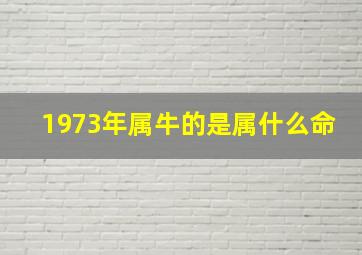 1973年属牛的是属什么命