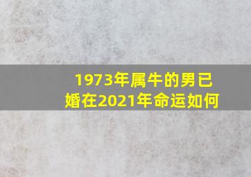 1973年属牛的男已婚在2021年命运如何