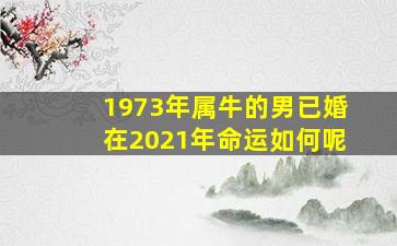 1973年属牛的男已婚在2021年命运如何呢