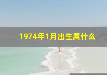 1974年1月出生属什么