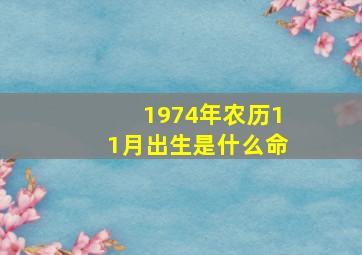 1974年农历11月出生是什么命